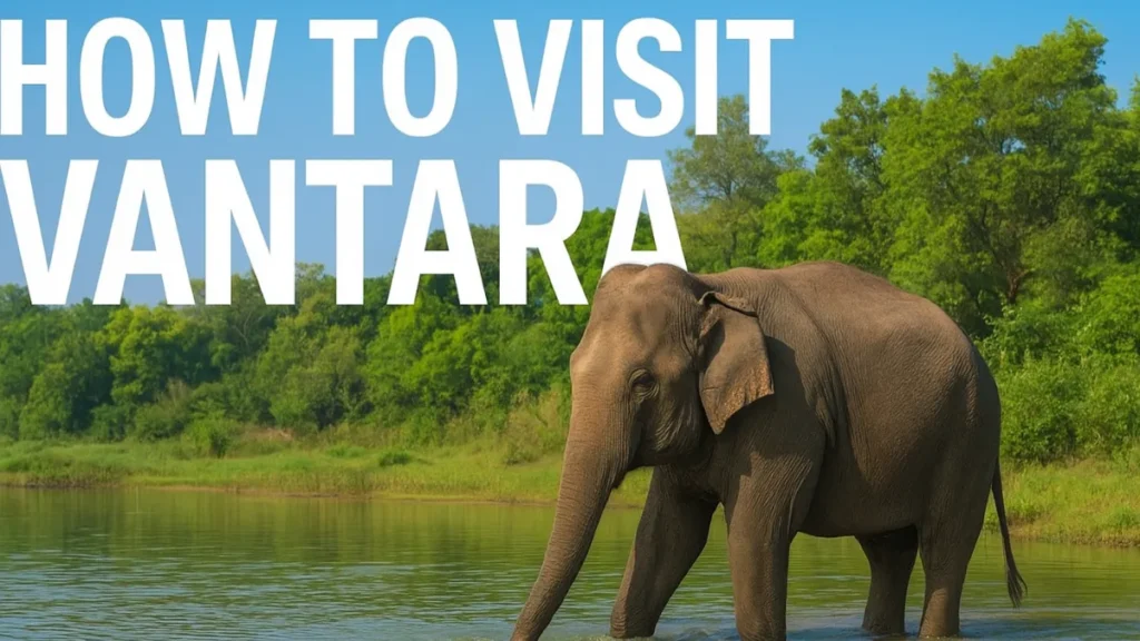 How to Visit Vantara