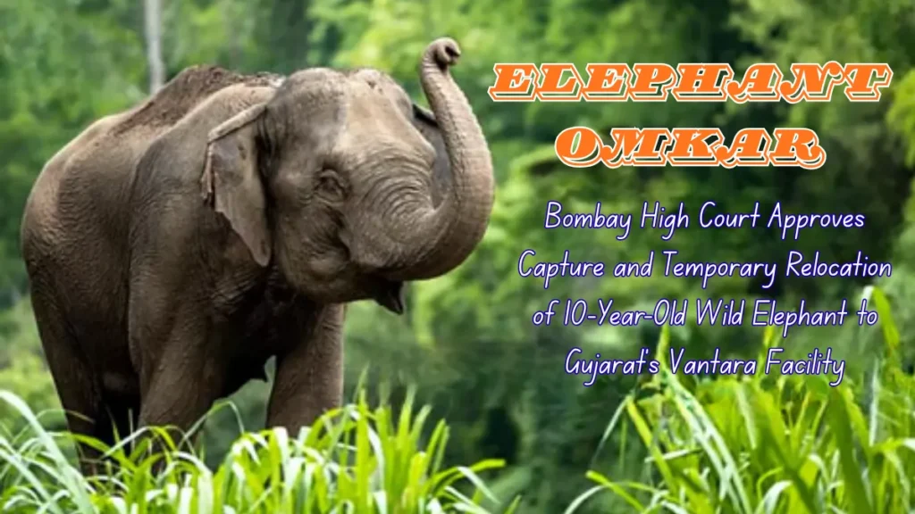 Elephant Omkar Story