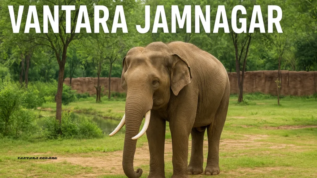 Vantara Jamnagar