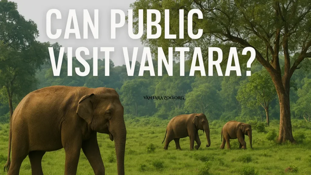 Can Public Visit Vantara