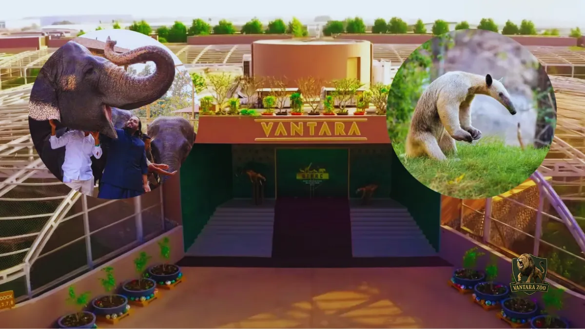 Vantara Zoo Jamnagar